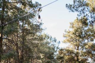 Weddings at Schnepf Farms - 28