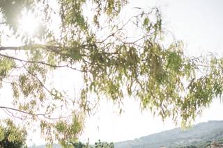 {Crete for Love} - 54
