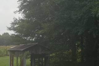 A Little Piece of Heaven Venues - 23