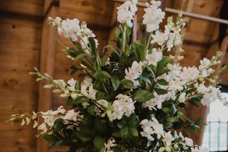 Petal Burst Designs - 25