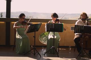Giulia Ermirio Violist - 8
