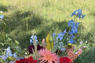 LAUD FARM - 5