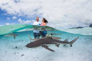 Bora Bora Photo & Video - 10