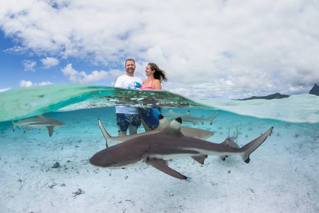 Bora Bora Photo & Video 3
