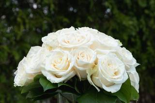 Blooms Floral Design - 92