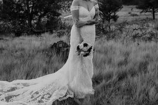 Timberline Photography and Films - 5