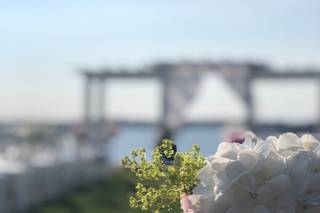 Farrissey Floral Design - 10