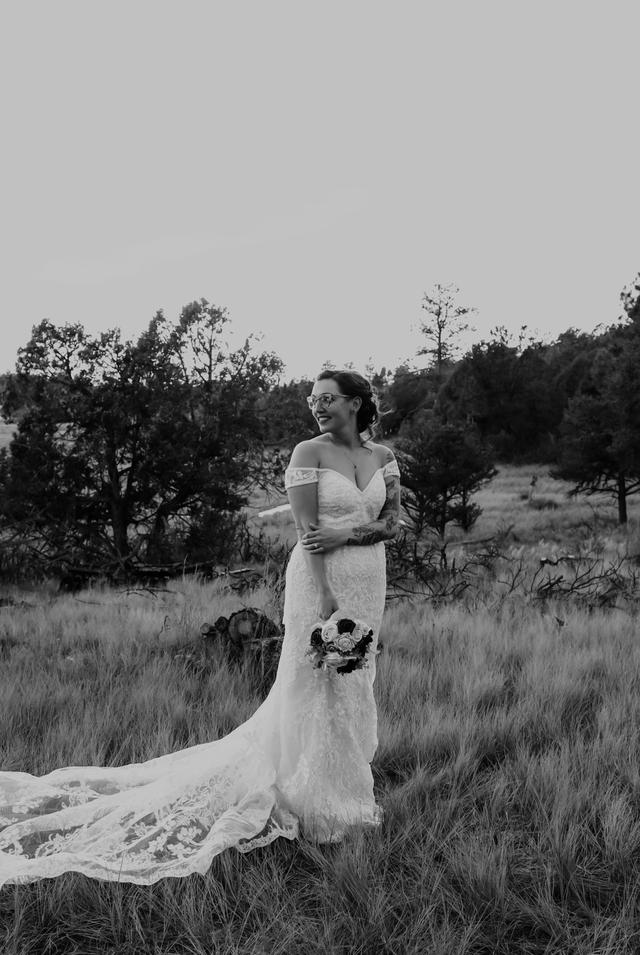 Timberline Photography and Films - 2