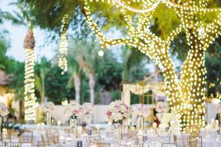 The Wedding Ambassador - 45