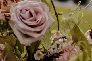 Petal & Posy - 6
