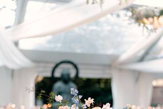 Floral and Bloom Designs - 12