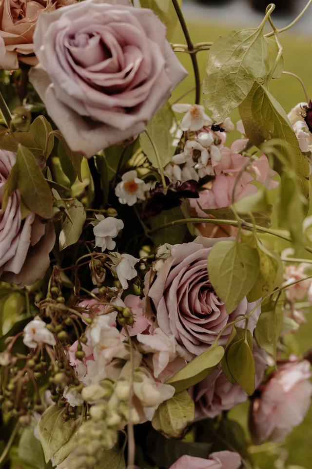 Petal & Posy - 2
