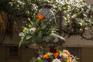 Fabulous Flowers - 14