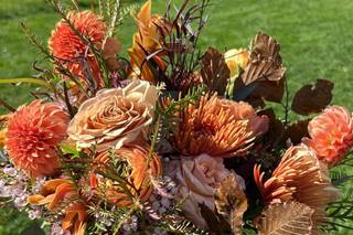 Forest Flowers - 42