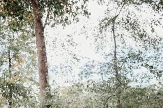 gilberthorstphoto - 23