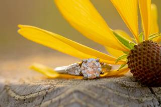 The Ksbphoto - 13