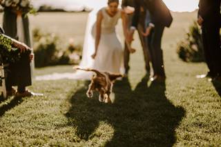Brooke Brady Photography - 10