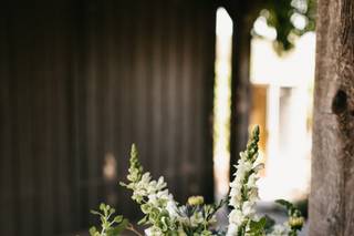 Pedy's Petals Flower & Event Design - 11