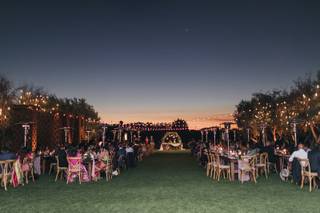 Leal Vineyards - 32