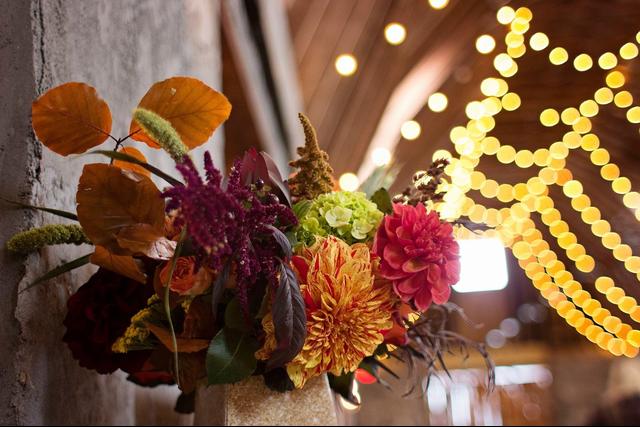 Katie Garcia Photography - 4