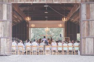 Linda Atkins Photography - 6
