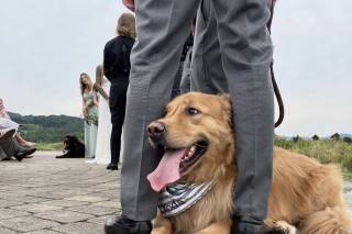 Happy Bark & Tails - 41