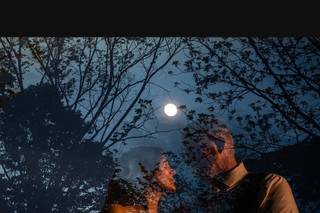 Jose Almeida Photography - 57