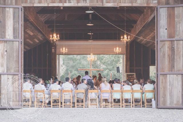 Linda Atkins Photography - 1