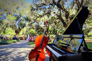 Lowcountry Pianist & Co. LLC - 5