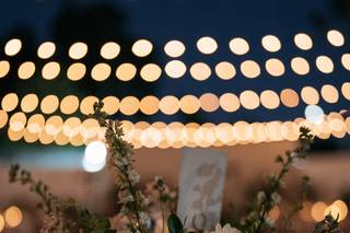 Black Dahlia Floral Designs - 9
