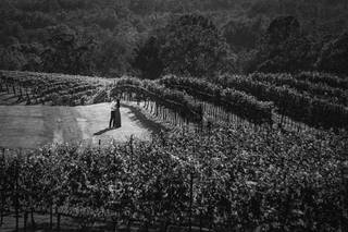 Kelvin Pagán Photography - 5