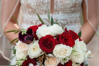 Amanda Stratford Photography - 12