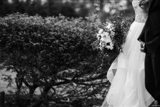 Silverfox Photography & Cinematography - 51