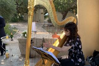 Pamela Brown - Harpist - 1