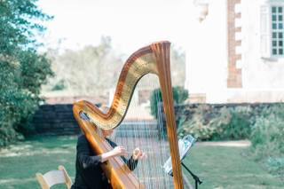 Harp By Request - 12