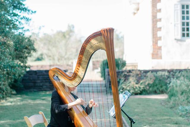 Harp By Request 3