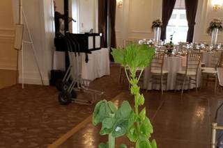 All Events Floral, LTD - 77