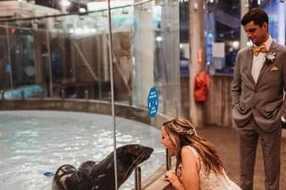 New England Aquarium - 13