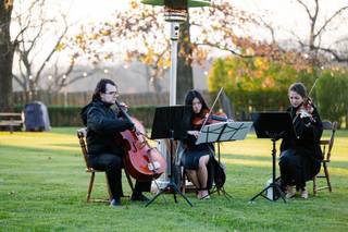 Allegro Music - 7