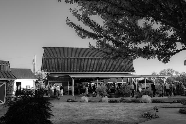 Stilly Brook Farm - 4