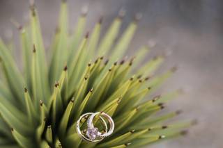 Cactus Collective Weddings - 53