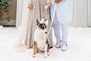 Lauren Dobish Photography - 15