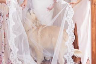 Stephanie Kase Photography - 11