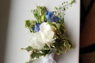 Blooms - 14