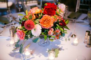English Rose Designs - 65