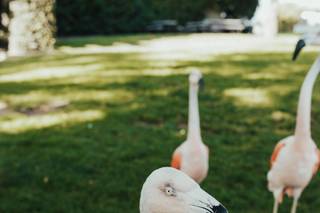 Santa Barbara Zoo - 13