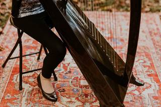Sabrina Falls - Harpist - 2