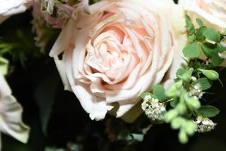 Flor de Casa Designs - 52