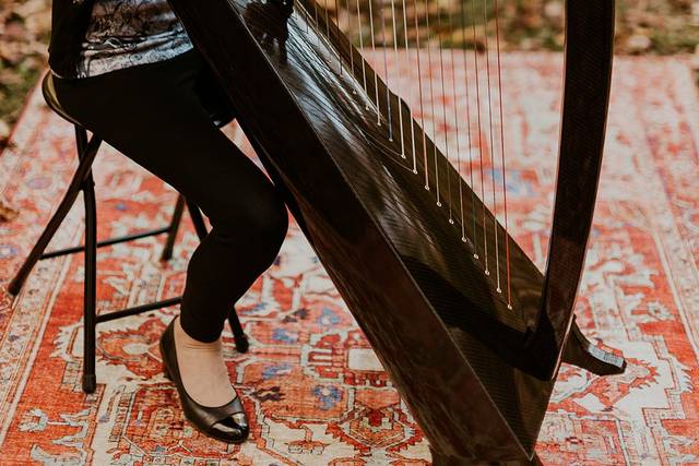 Sabrina Falls - Harpist 2