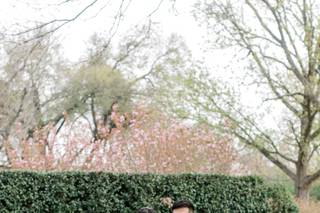 Occasions & Co - 19